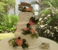 Wedding Cake at Landsendt